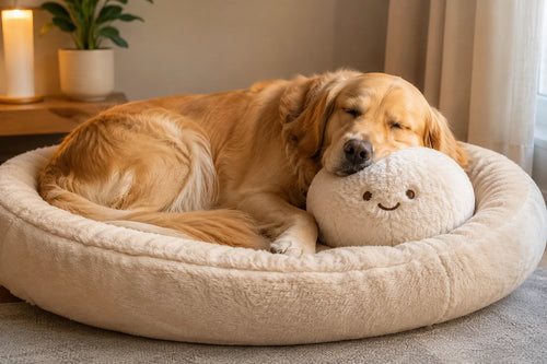 Petzova Calm Companion plush with gentle warmth, heartbeat sound and quiet music